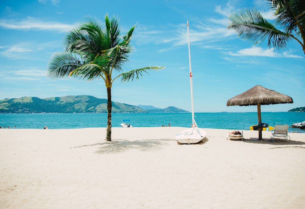 Praia de areia branca com coqueiro e mar azul
